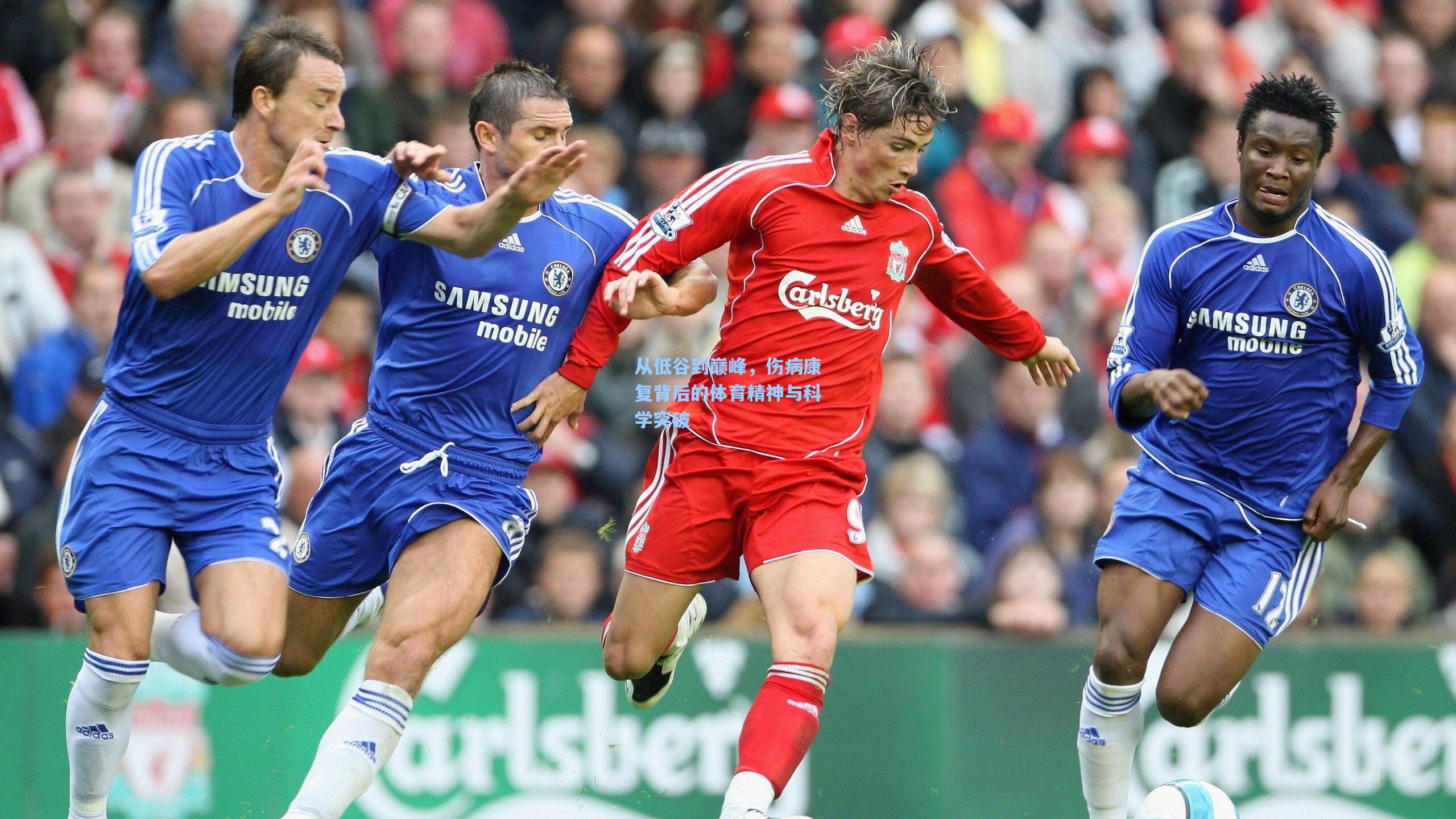 从低谷到巅峰，伤病康复背后的体育精神与科学突破